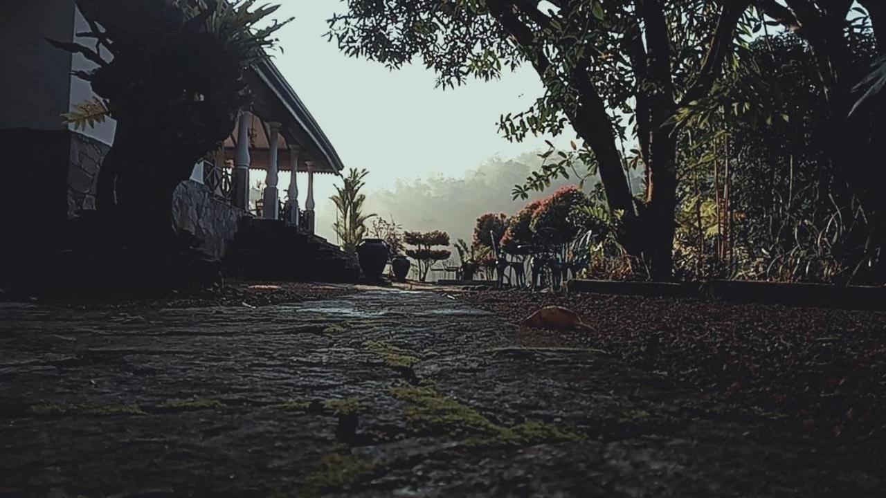 Jansen'S Bungalow Sinharaja Rainforest Retreat Kudawe Экстерьер фото