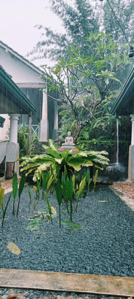 Jansen'S Bungalow Sinharaja Rainforest Retreat Kudawe Экстерьер фото